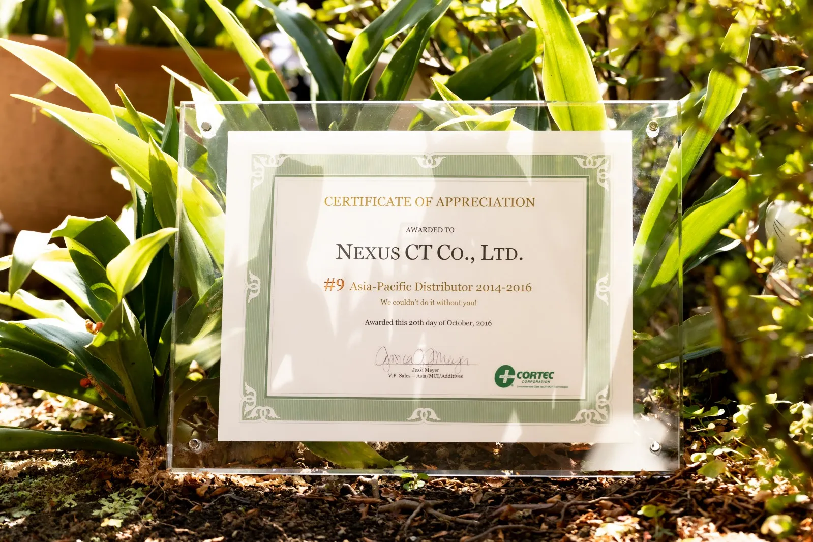 2016年 CERTIFICATE OF APPRECIATION AWARD受賞