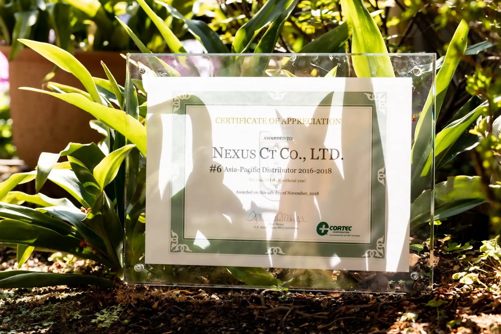 2018年 CERTIFICATE OF APPRECIATION AWARD受賞