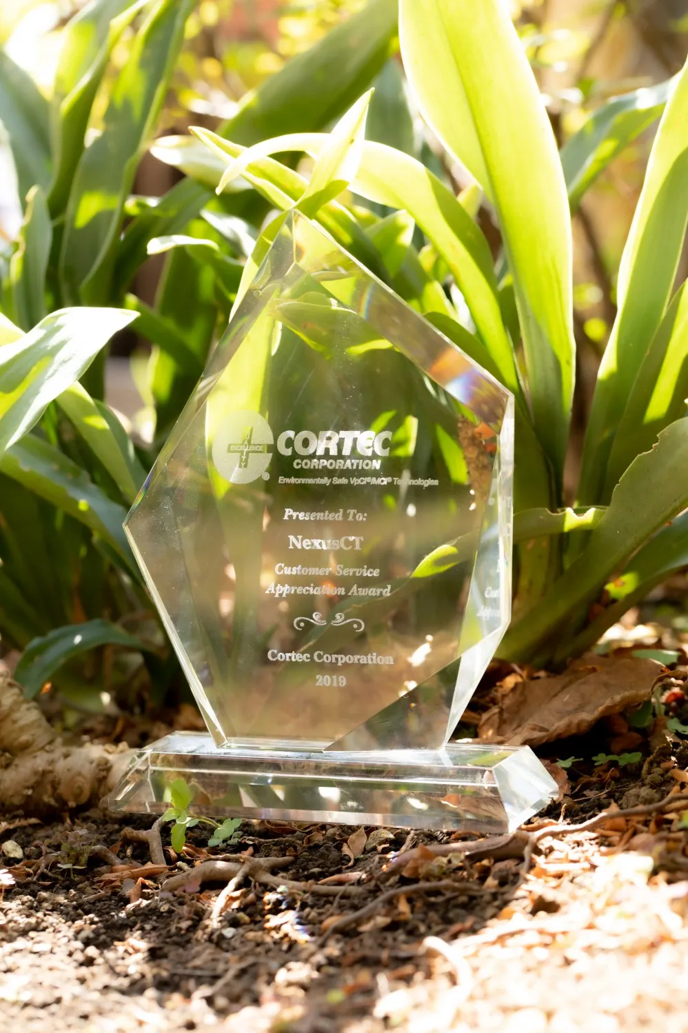 2019年 Customer Service Appliciation Award受賞