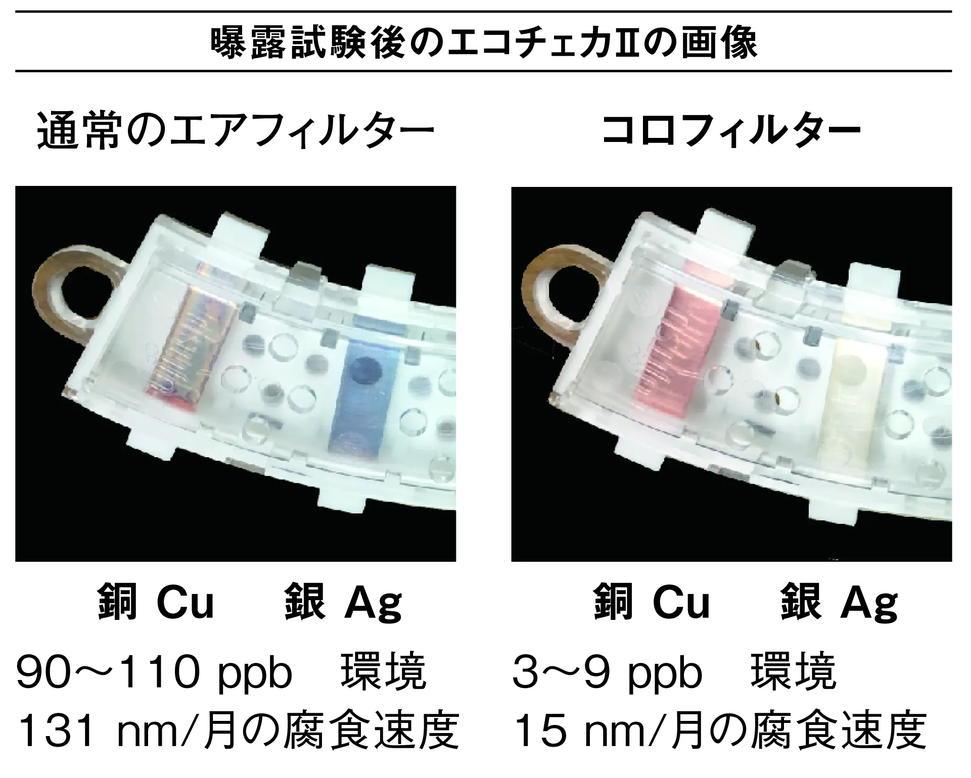 曝露試験後のエコチェカⅡの画像
